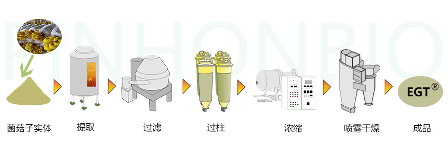 天然菌菇萃取物  麦角硫因  无添加 菌菇子实体萃取